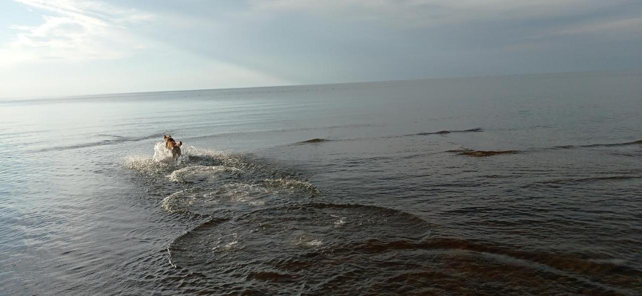 House, Garden & Sauna. Free Parking. Train Stop-200 M. Sea-1 Km. Юрмала Екстер'єр фото