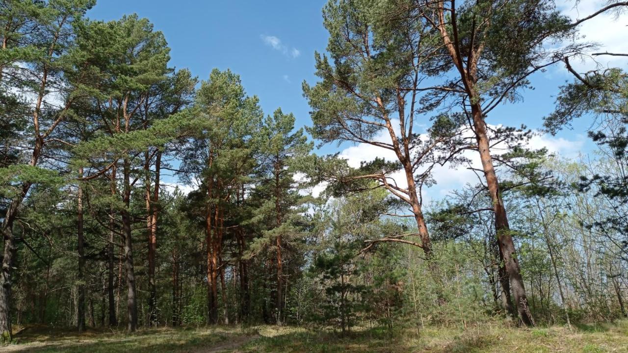 House, Garden & Sauna. Free Parking. Train Stop-200 M. Sea-1 Km. Юрмала Екстер'єр фото
